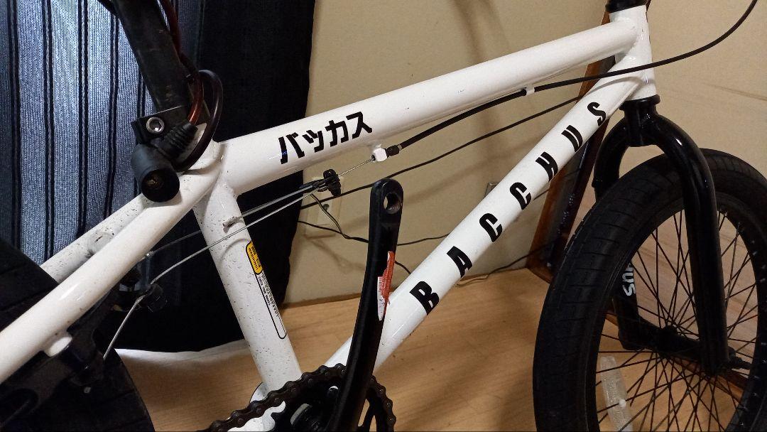 自転車本体 AVASTA Bucchus