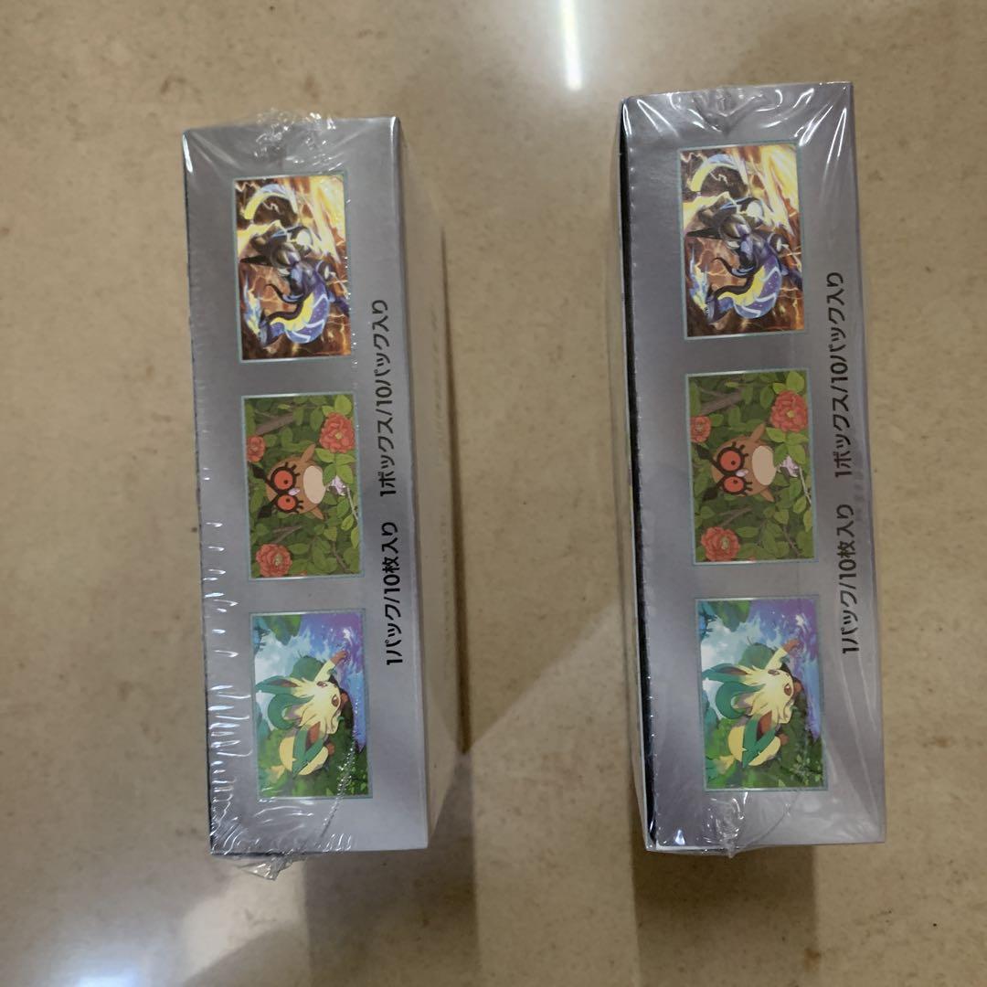 ポケモンカードゲーム テラスタルクス EX ボックス 2個セット