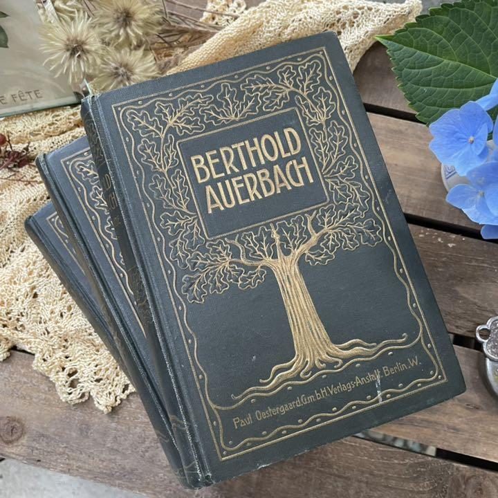 STEFAN MOSES DEUTSCHE 写真集 ドイツ語 洋書 古本