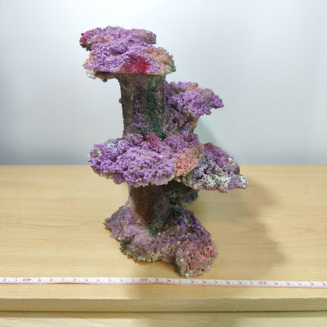 mizu 新品アク抜き不要 人工ライブロック 60cm海水水槽用 レプリカ