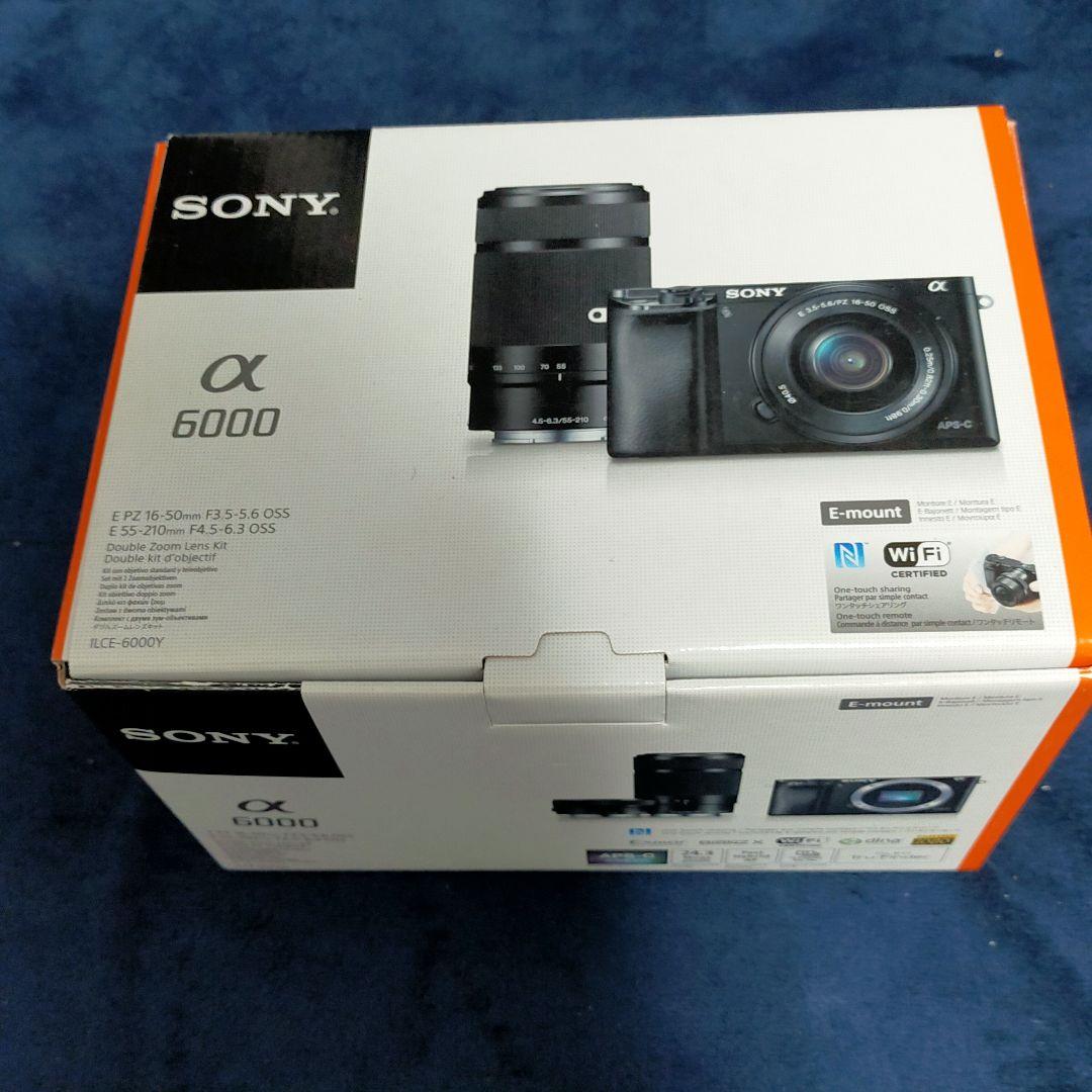 SONY α6000