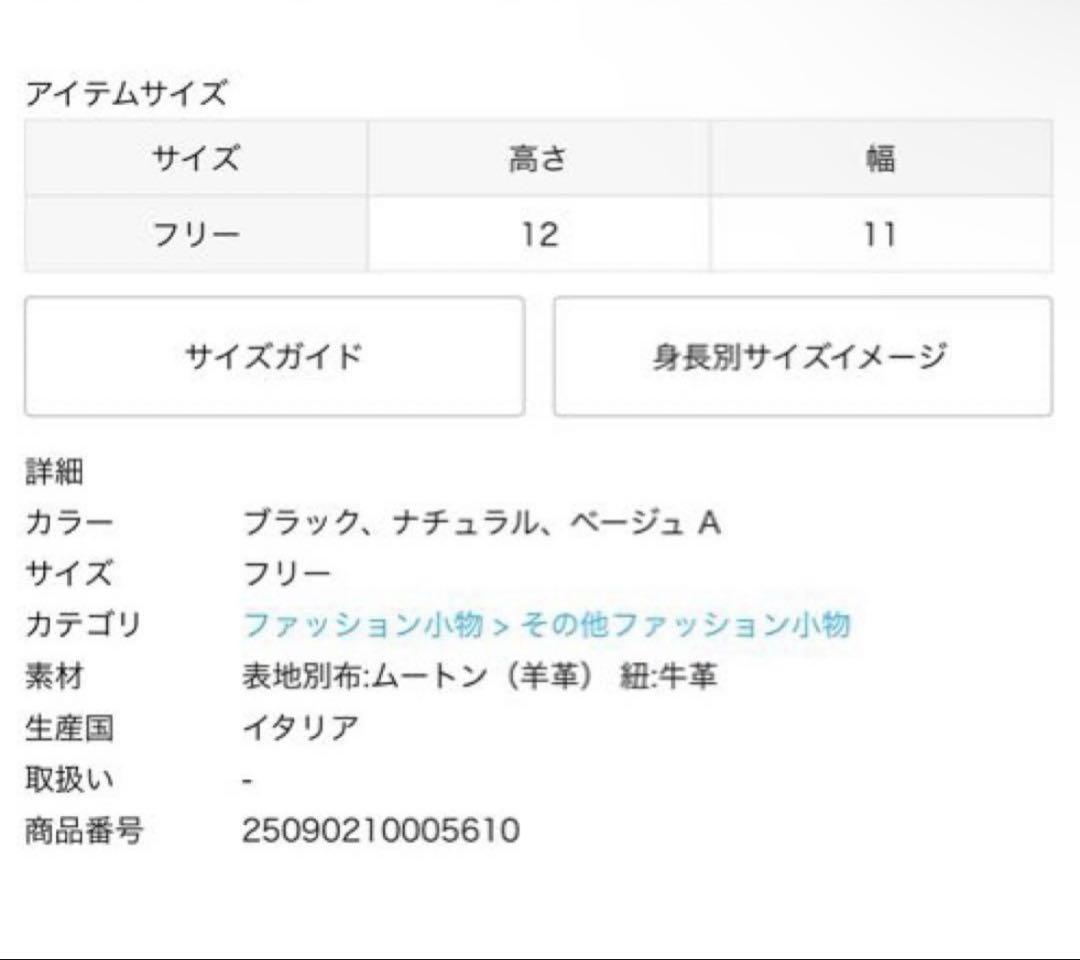 リパーニ RIPPY 20020V RIPPY/24AI