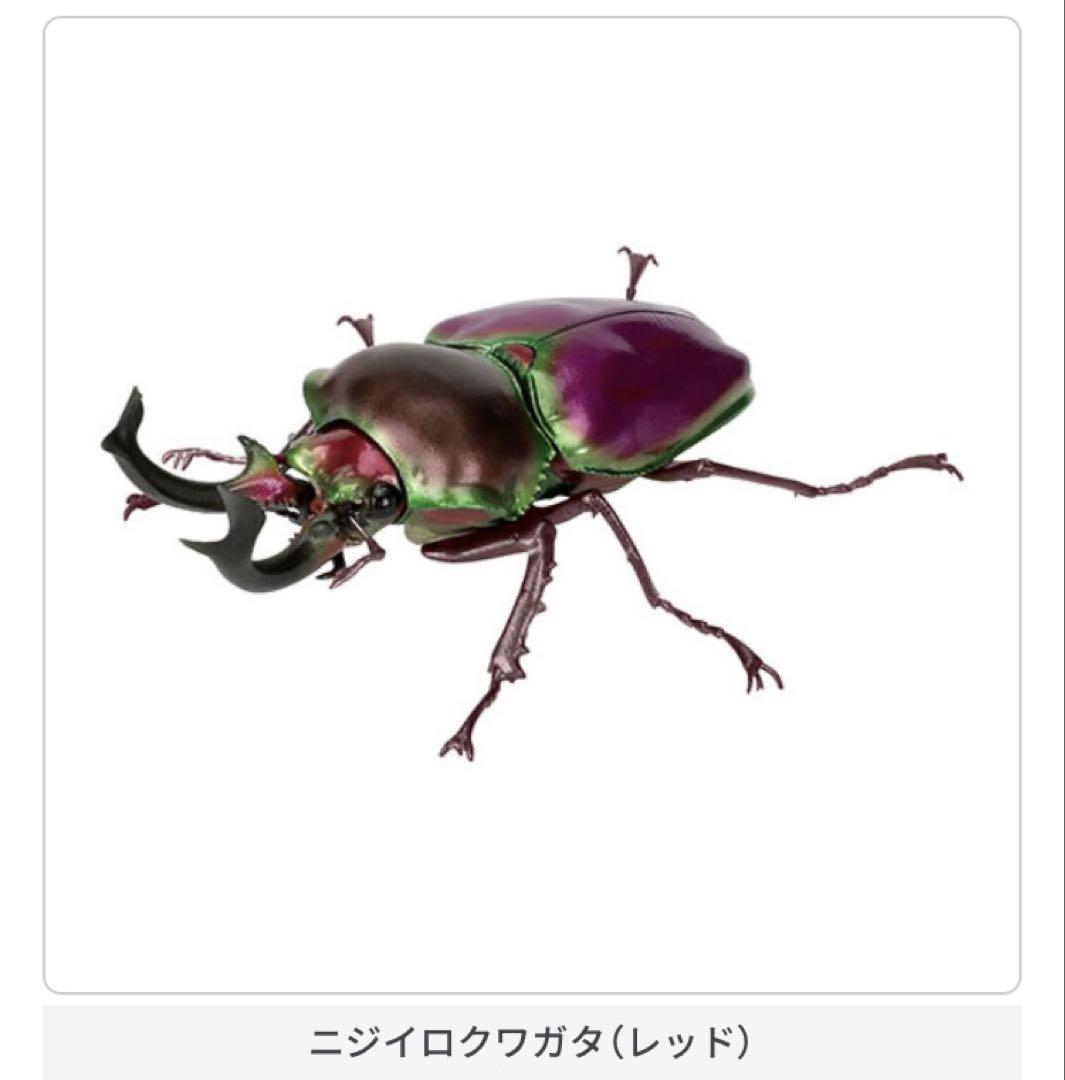 いきもの大図鑑 くわがた10 | ナムコパークス オンラインストア