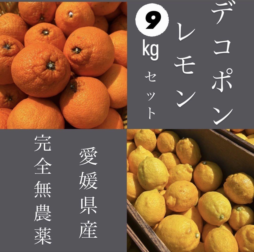 愛媛　農薬不使用　デコポン&レモン