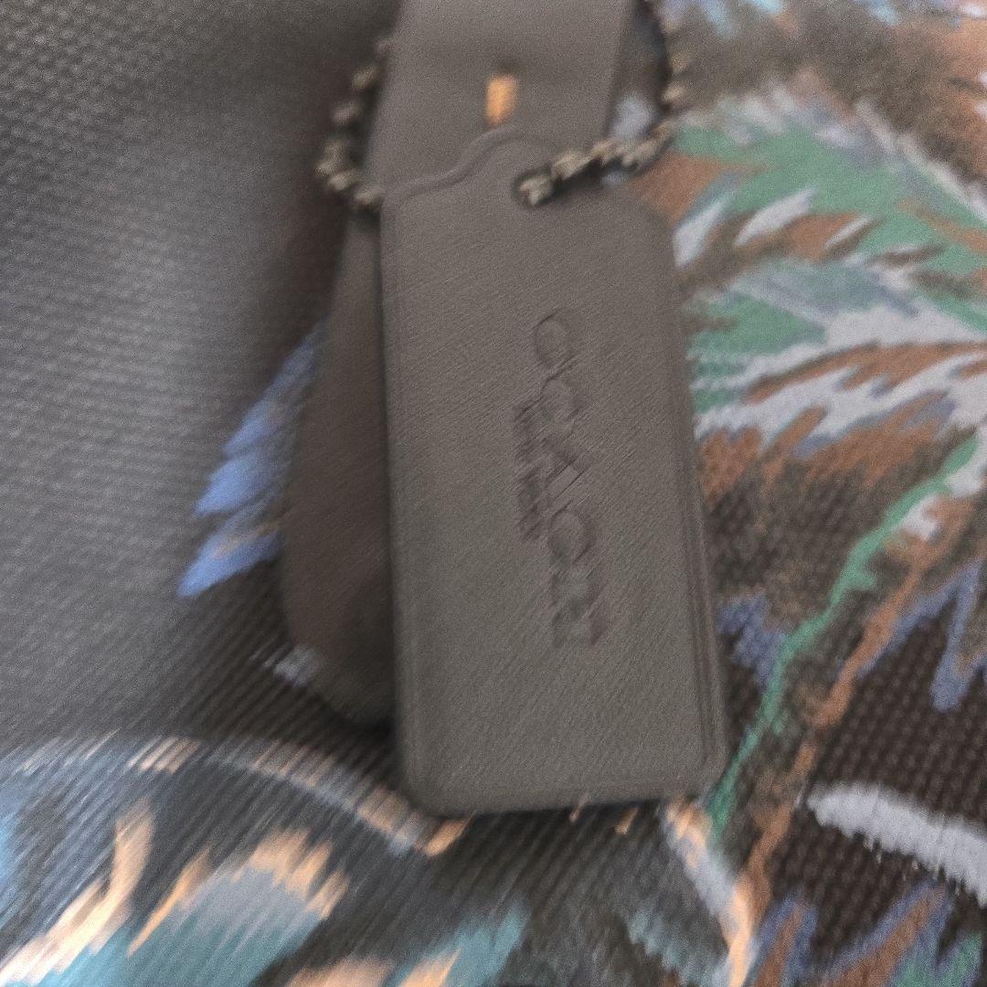 COACH　トートバッグ　ヤシの木
