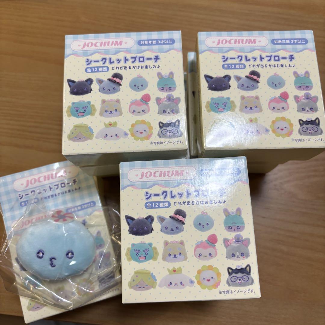 JOCHUM ジェオチャム JO1 シークレットブローチ
