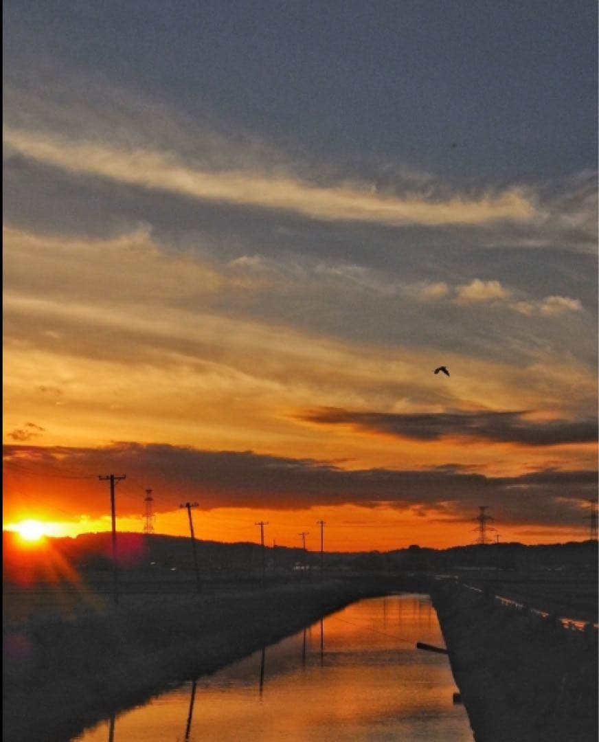 RICOH リコー R10 ブラウン デジタルカメラ RICOH リコー R10 ブラウン デジタルカメラ