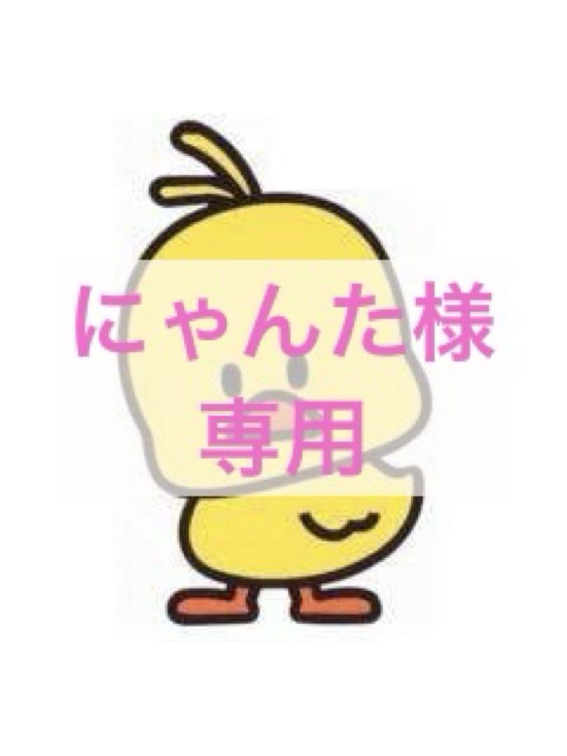 【にゃんた様　専用】