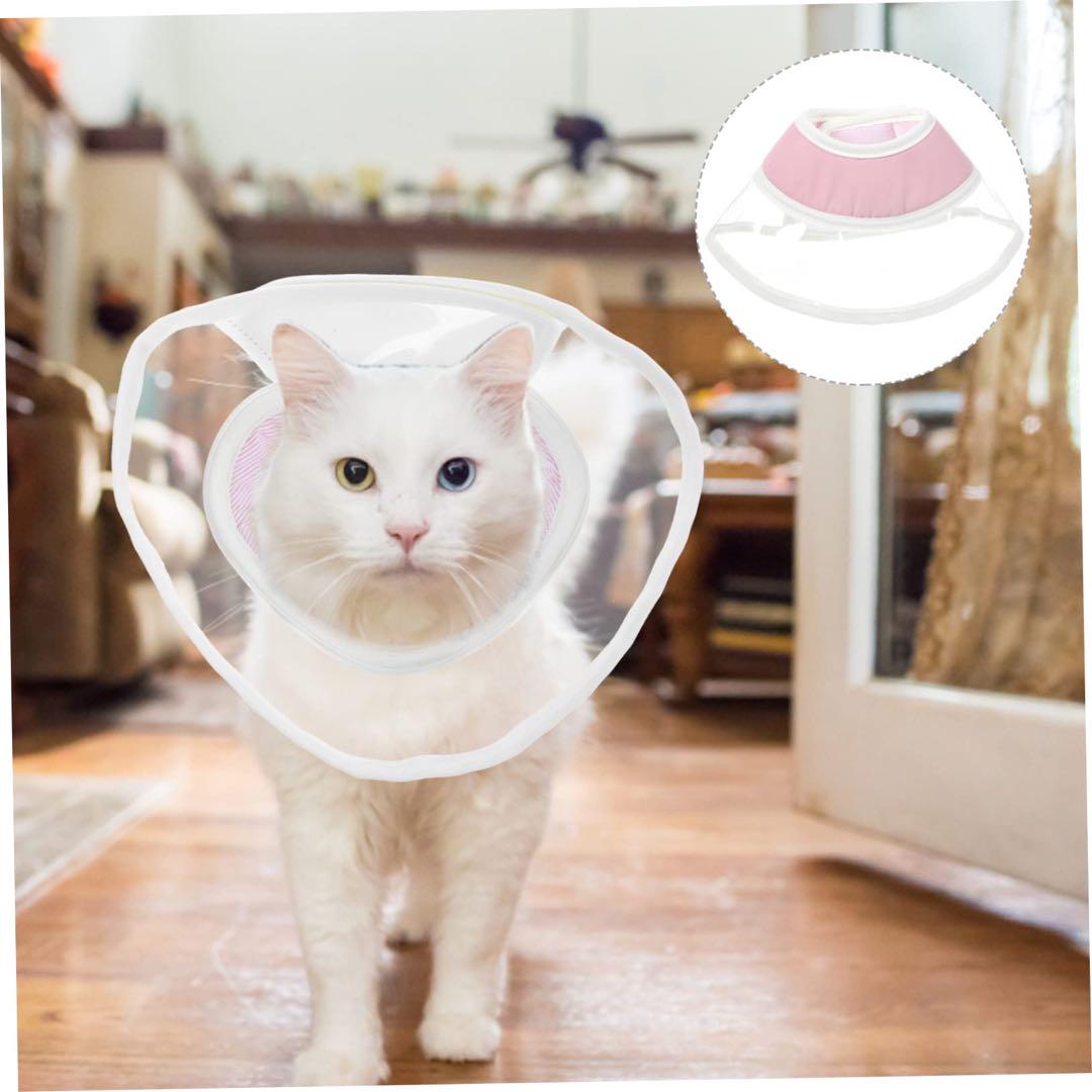 猫舐めコーン