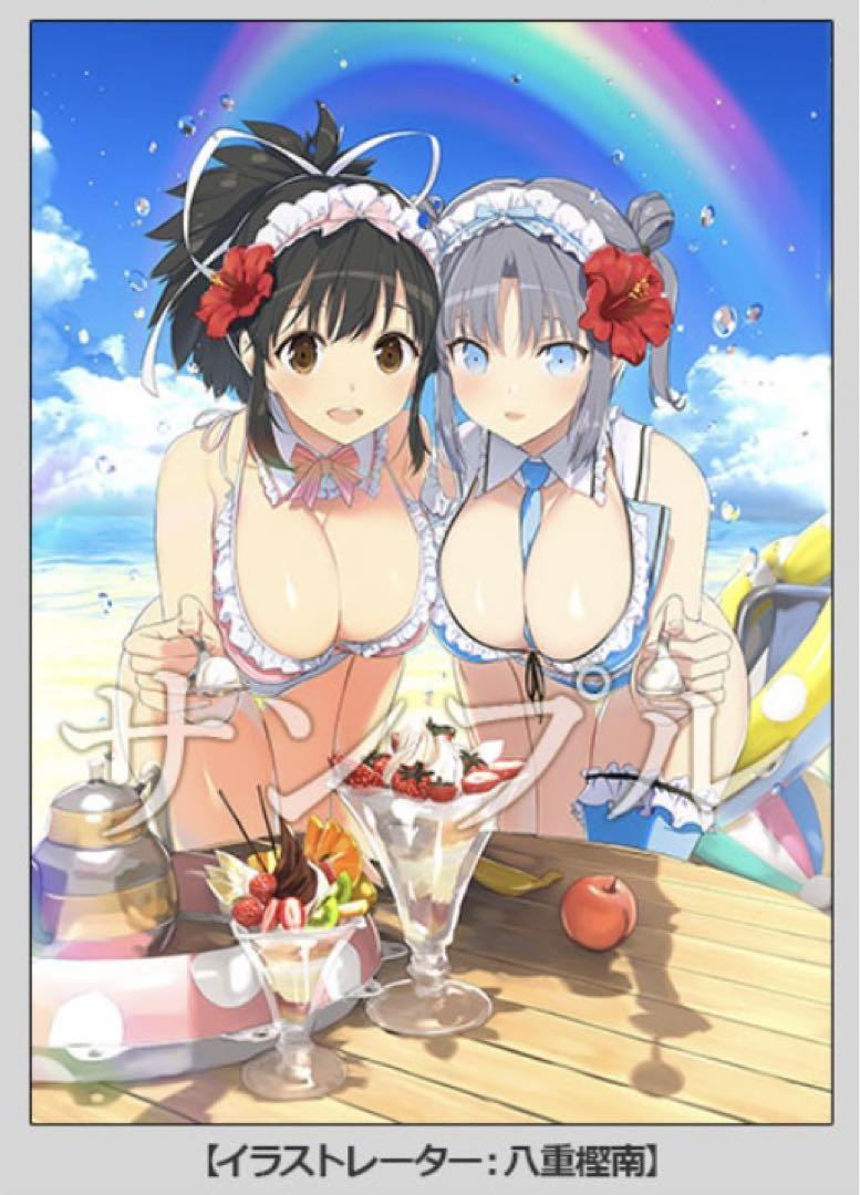 閃乱忍忍忍者大戦ネプテューヌ 閃乱カグラ B2タペストリー 飛鳥 雪泉