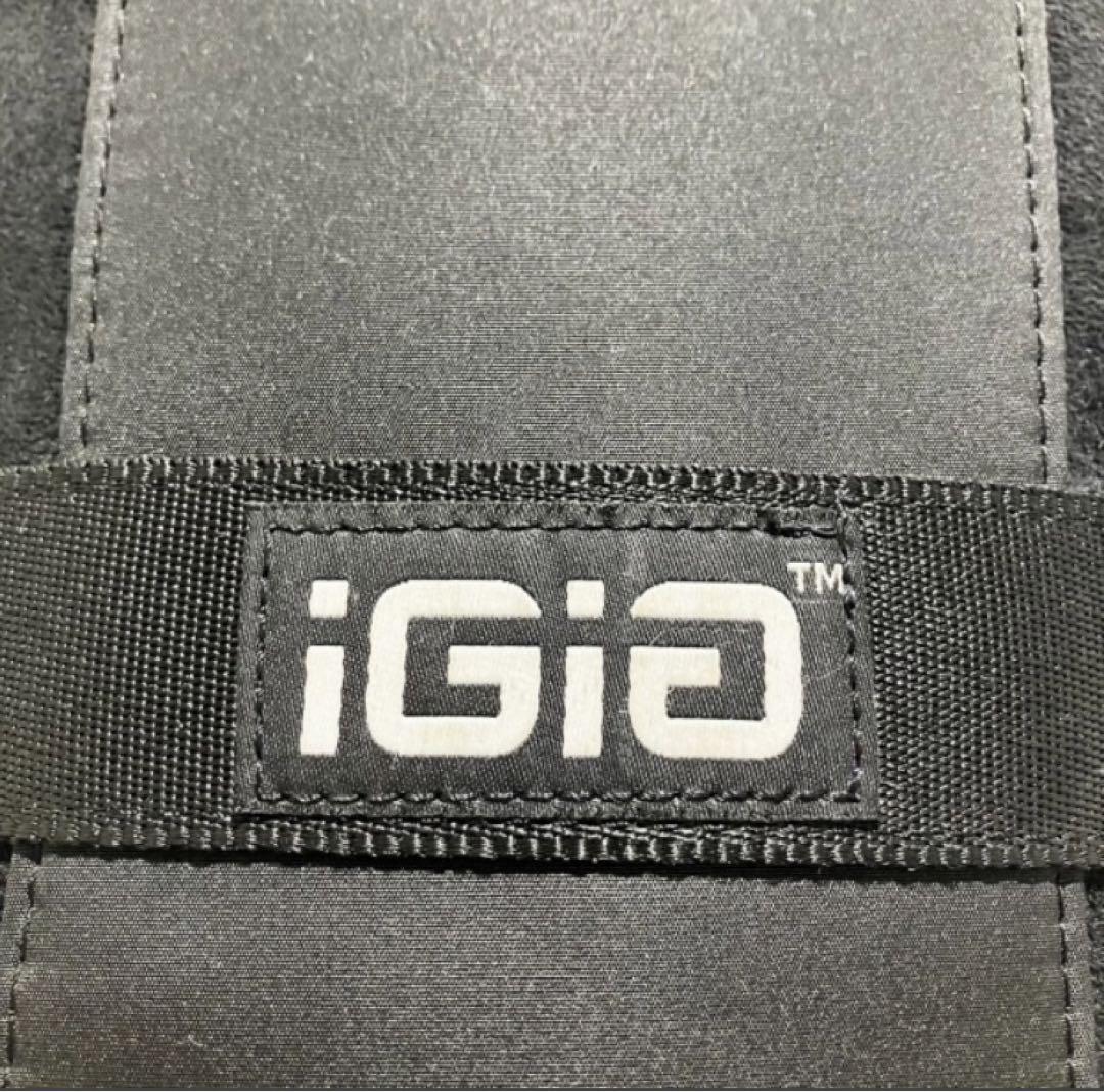 IGiG