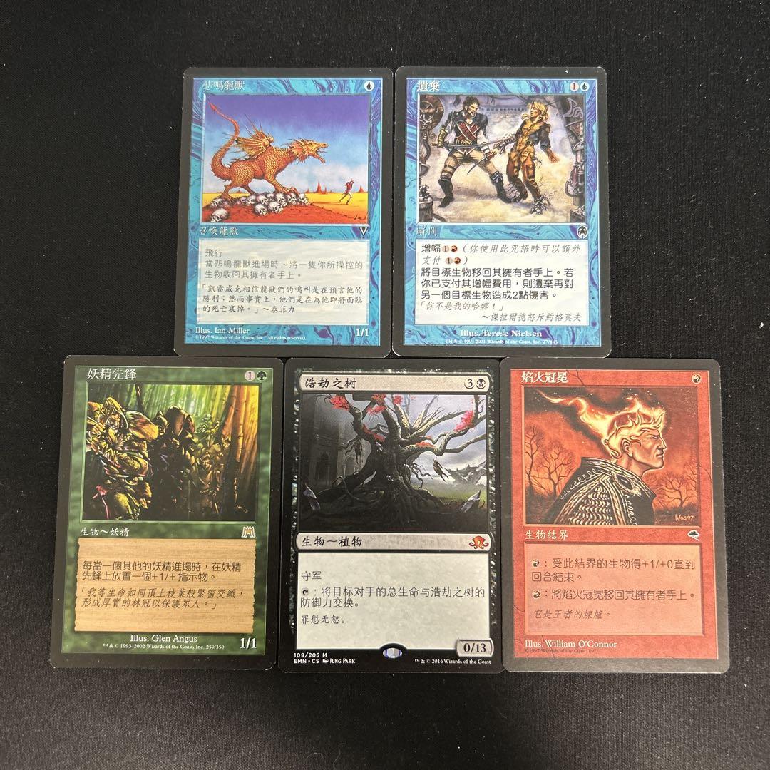 MTG 森 中国語 簡体字 Ⅴ 5枚セット MTG SIMPLIFIED CHINESE 5TH EDITION WEAKNESS NM (