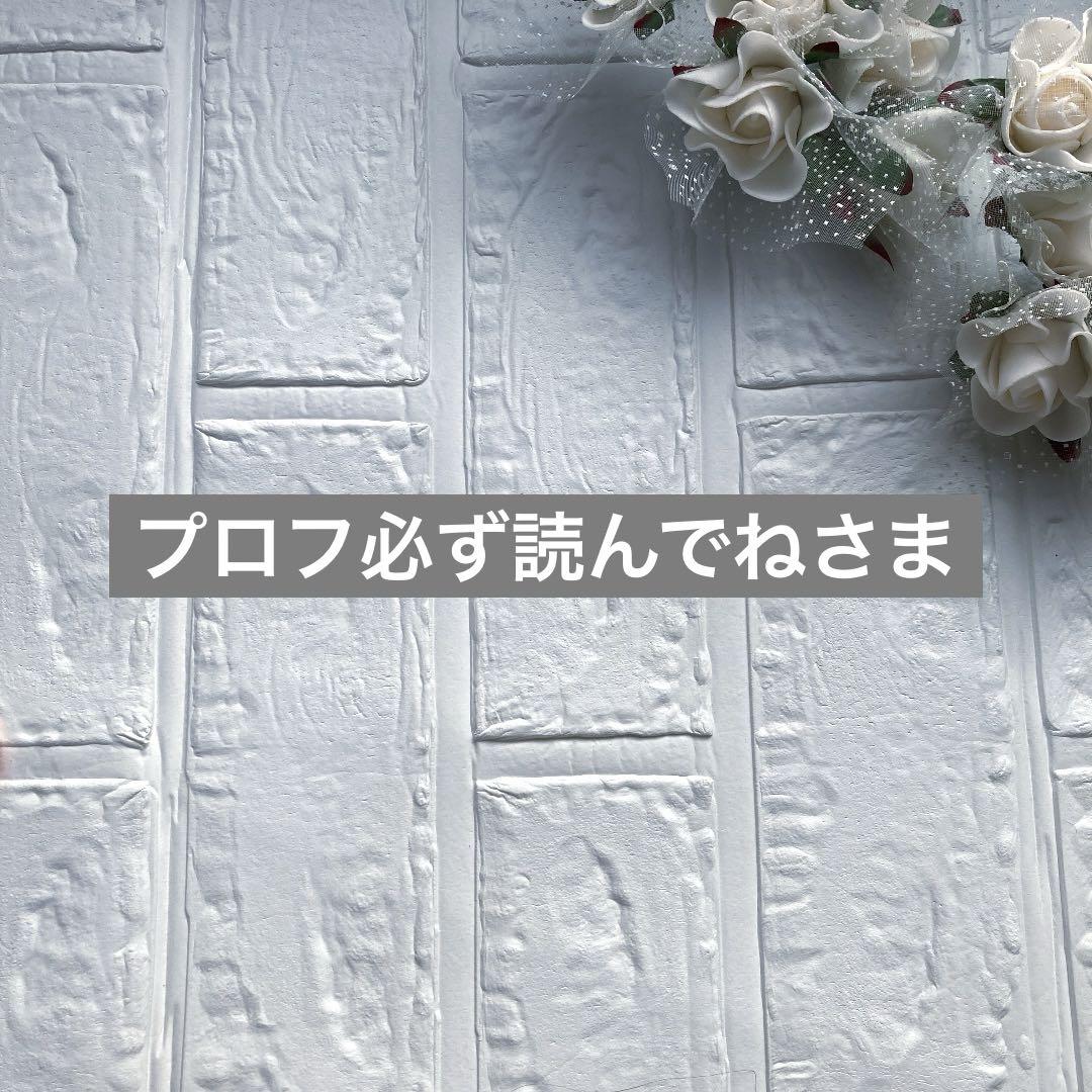 プロフ必ず読んでねさま