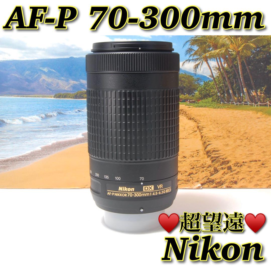 美品❤️Nikon AF-P 55-300mm 手ぶれ補正付き 綺麗に撮れる 純正