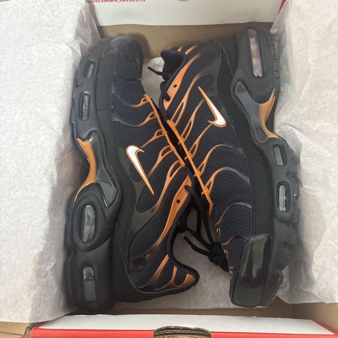 Nike Air Max Plus