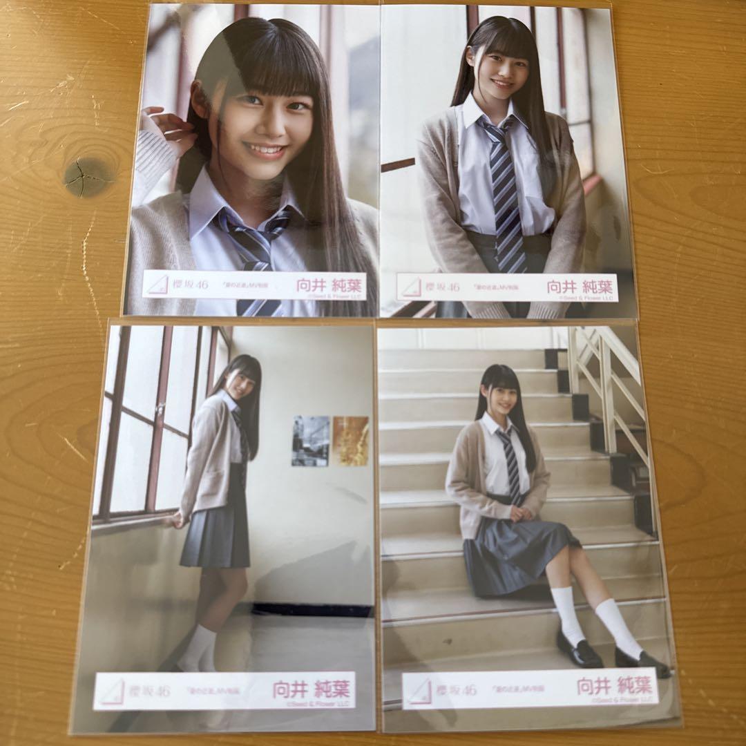 櫻坂46 生写真 向井純葉 夏の近道 MV制服 コンプ
