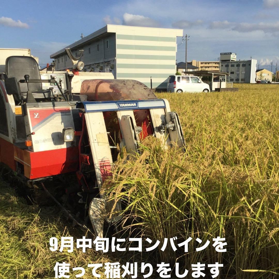 特別栽培高級米 新之助 30㌔玄米 田植え後農薬は除草剤のみ