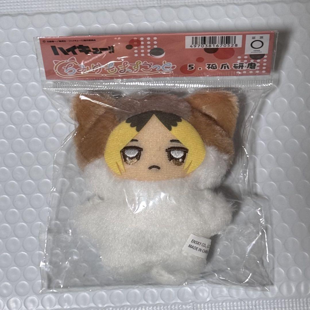 TXT ヨンジュン　ぬいぐるみ　10cm 新品未使用　マスター TXT ヨンジュン ぬいぐるみ 10cm 新品 マスター - ぬいぐるみ