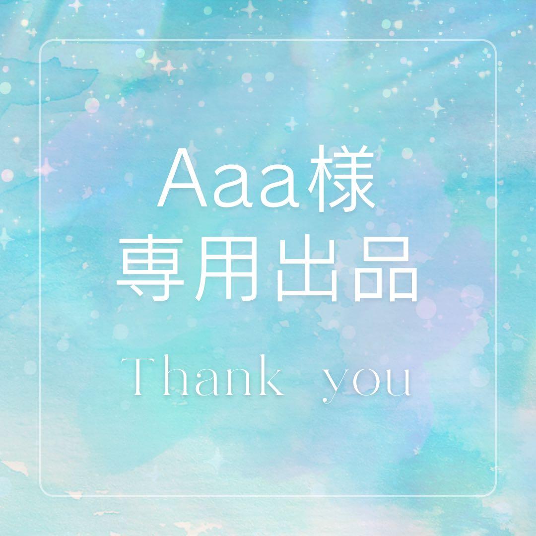 Aaa様 専用出品