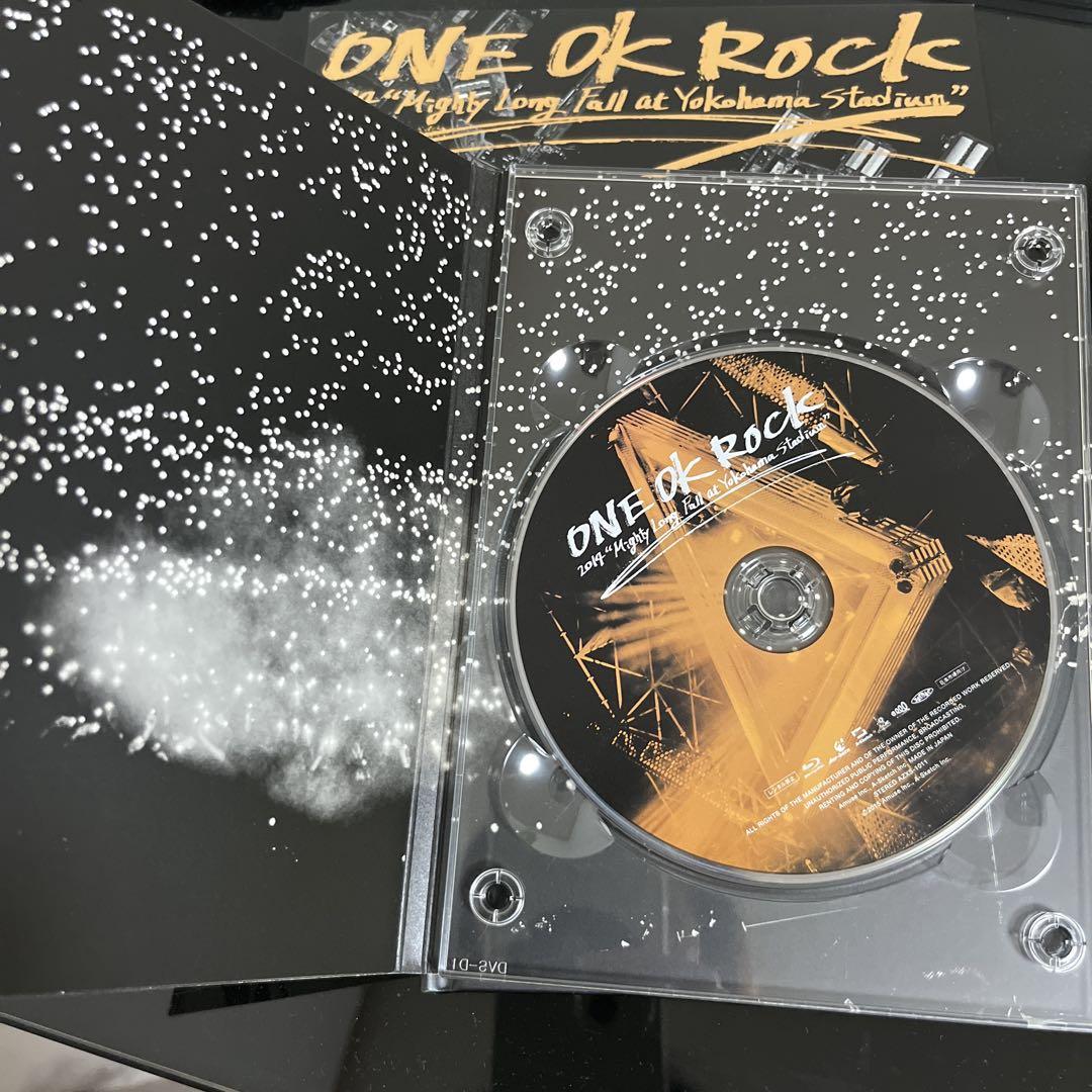 ONE OK ROCK 2014