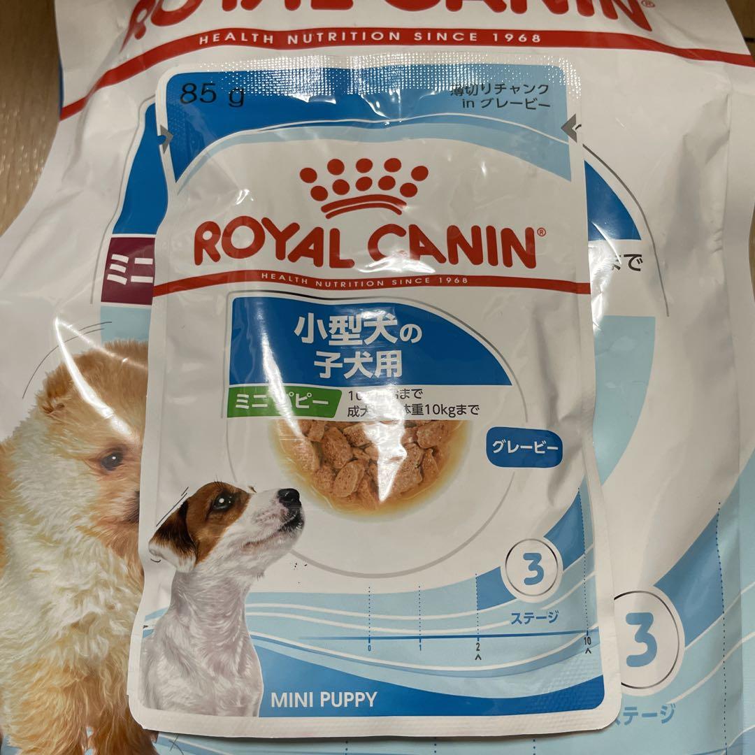 小型犬の子犬用エサ＋α