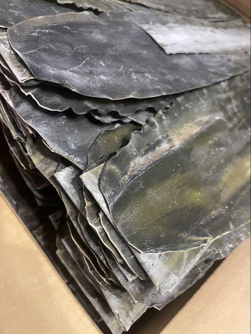 旧南茅部産 真昆布 最高級銘柄 業務用　プロ用 南茅部産 道南産 業務用　昆布