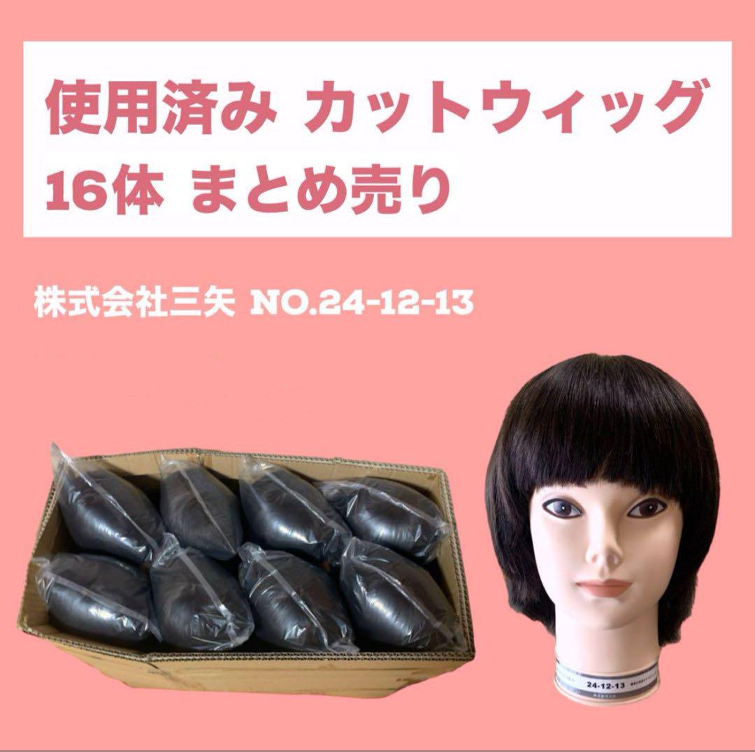 ユーカリ 国家試験 ウィッグ 24-12-24 美容師実技試験用 : field