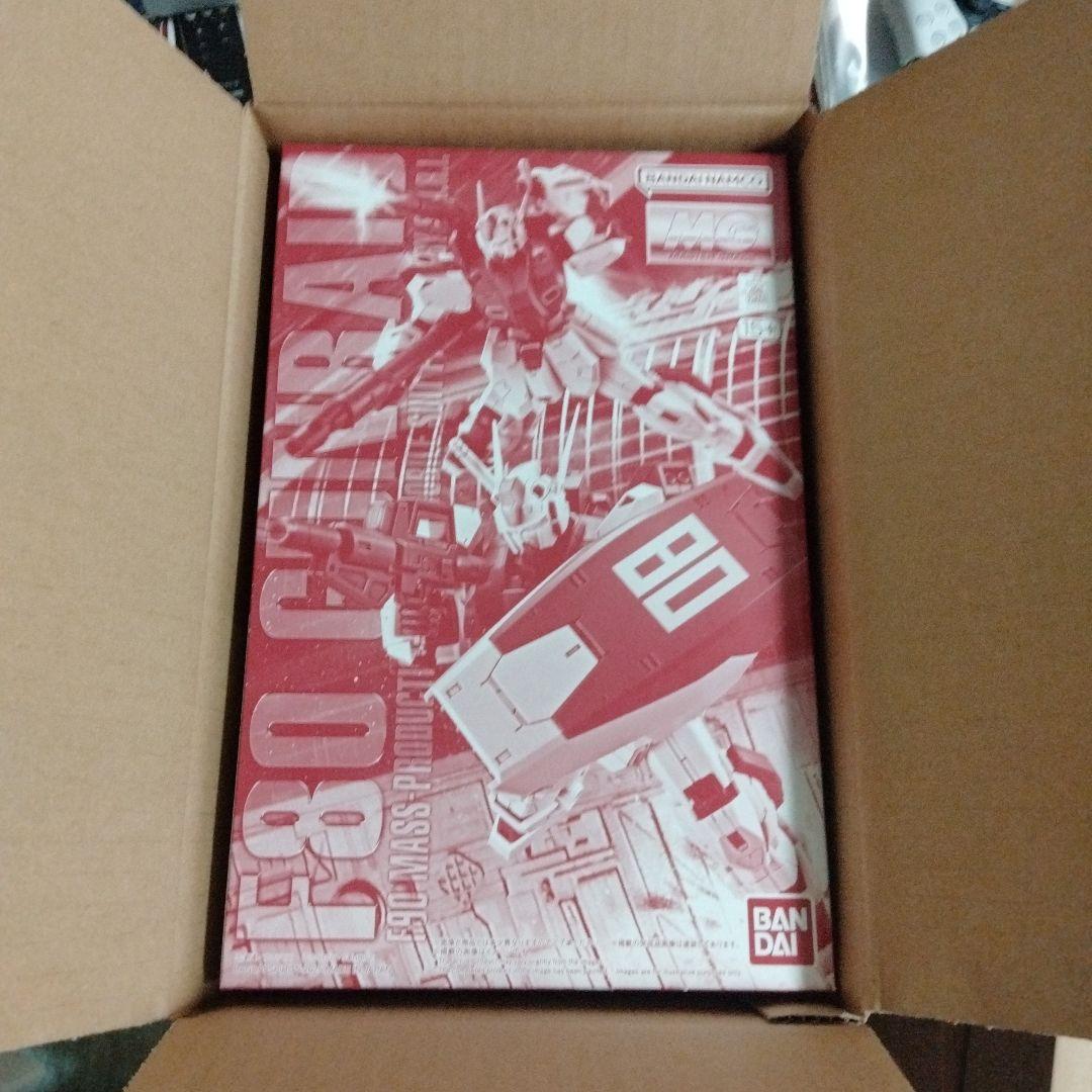 k*i様 MG 1/100 F80 ガンレイド