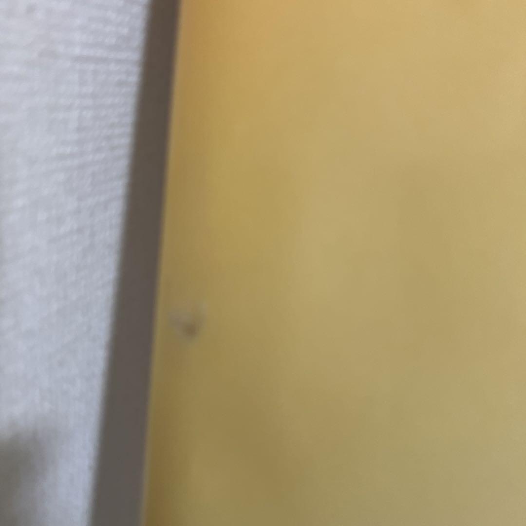 たけさん専用❣️❣️❣️