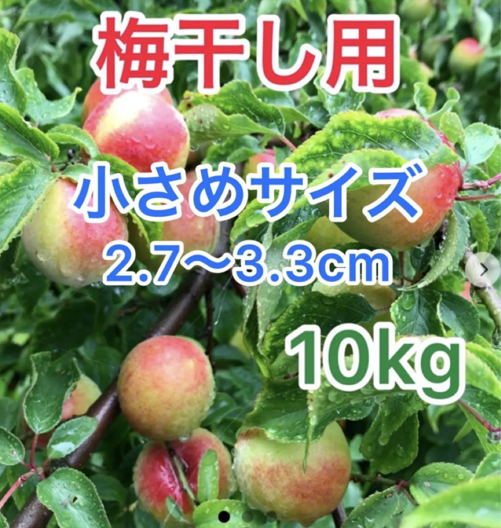 和歌山県産 梅 小さめ 10kg - メルカリ