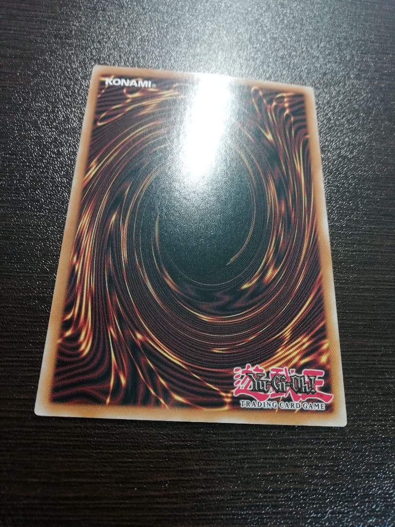 遊戯王 真紅眼の黒竜 レッドアイズ 25thシークレットレア 英語版