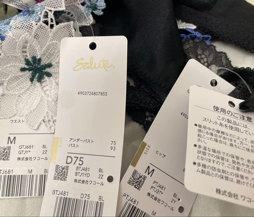 サルート D75/M 3点セット ちはやふる 81G BL