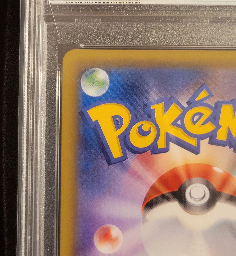 PSA10 エリカのおもてなし