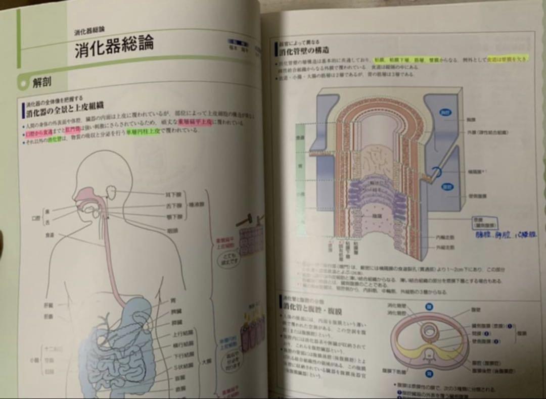 病気がみえる 全10巻セット