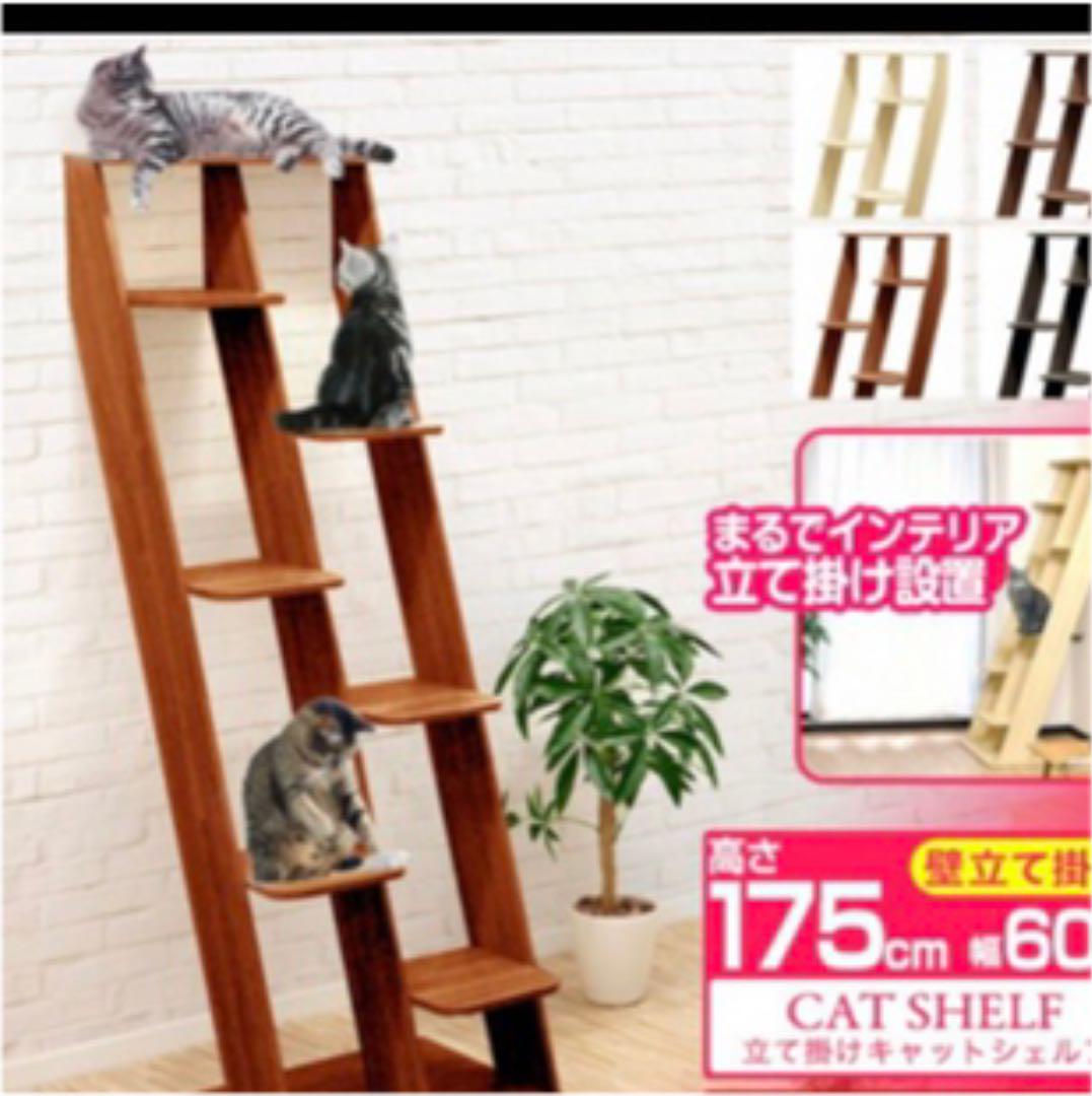 Amazon.co.jp: キャットタワー シェルフ 猫 家具 撥水加工あり