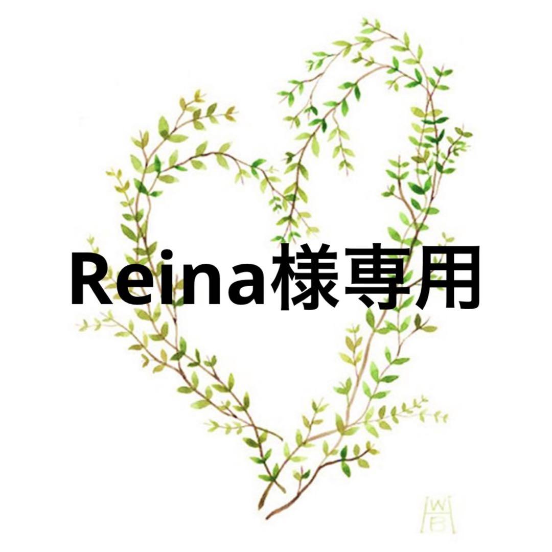 洗顔料 Reina