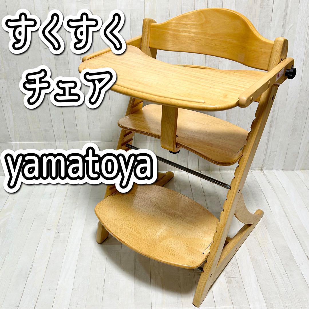 大和屋　すくすくチェア イーエヌ【テーブル・股ガード付】