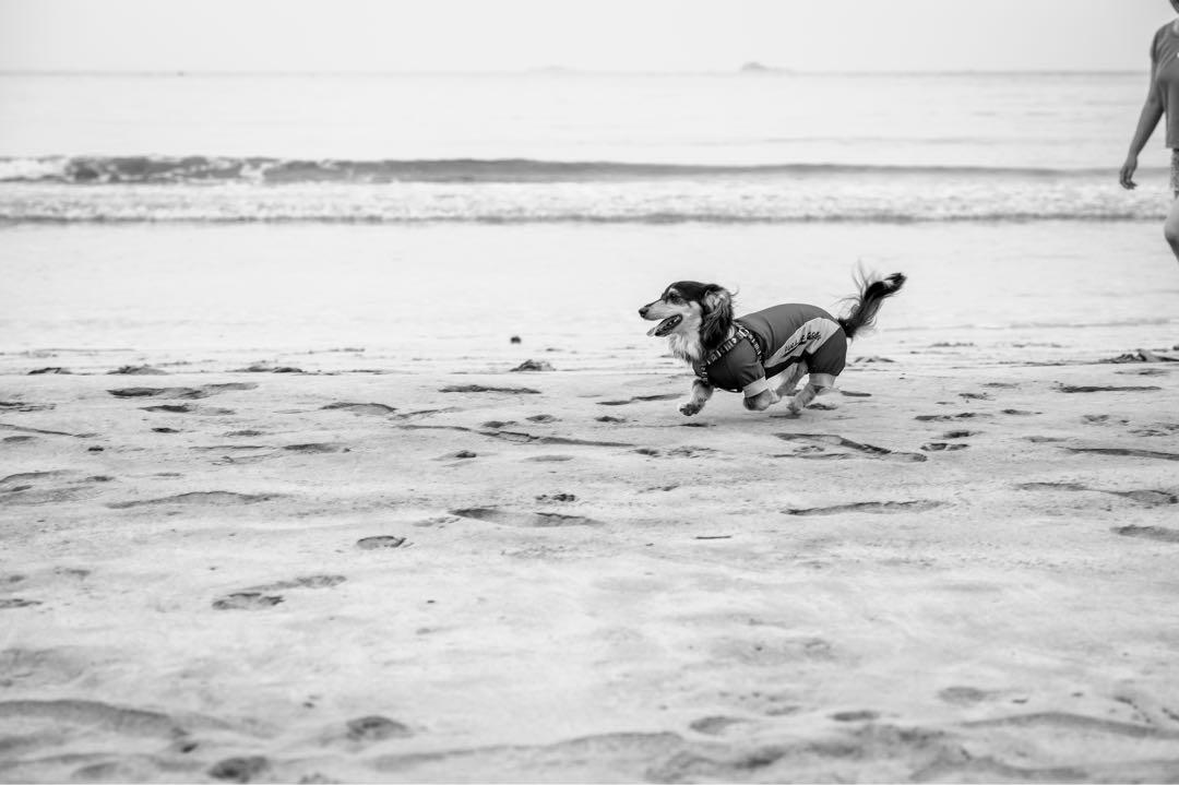Nikon z6II ＋　Pro grade 128G
