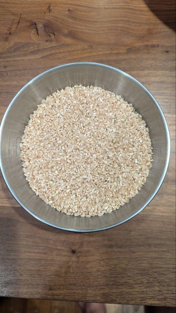 令和6年産 肥料・農薬不使用 色選別済山形県産 ササニシキ 玄米 20kg