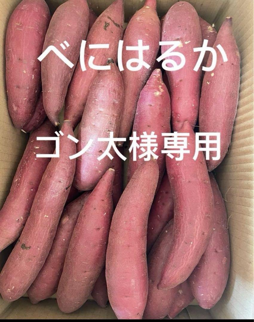 ゴン太様専用 S 20kg M5kg 野菜