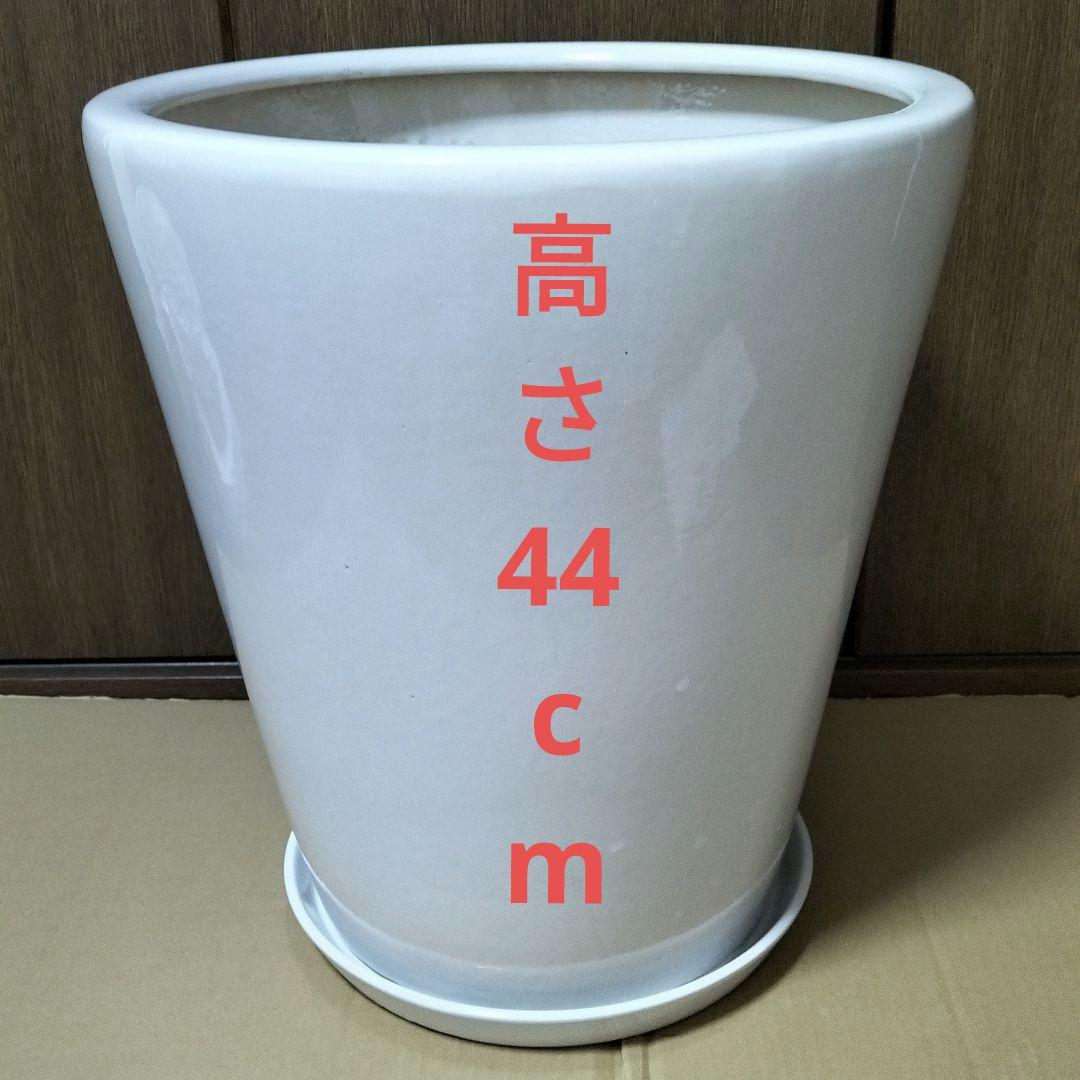 ビッグサイズ　特大植木鉢　胡蝶蘭　陶器鉢(陶器の受け皿付き)