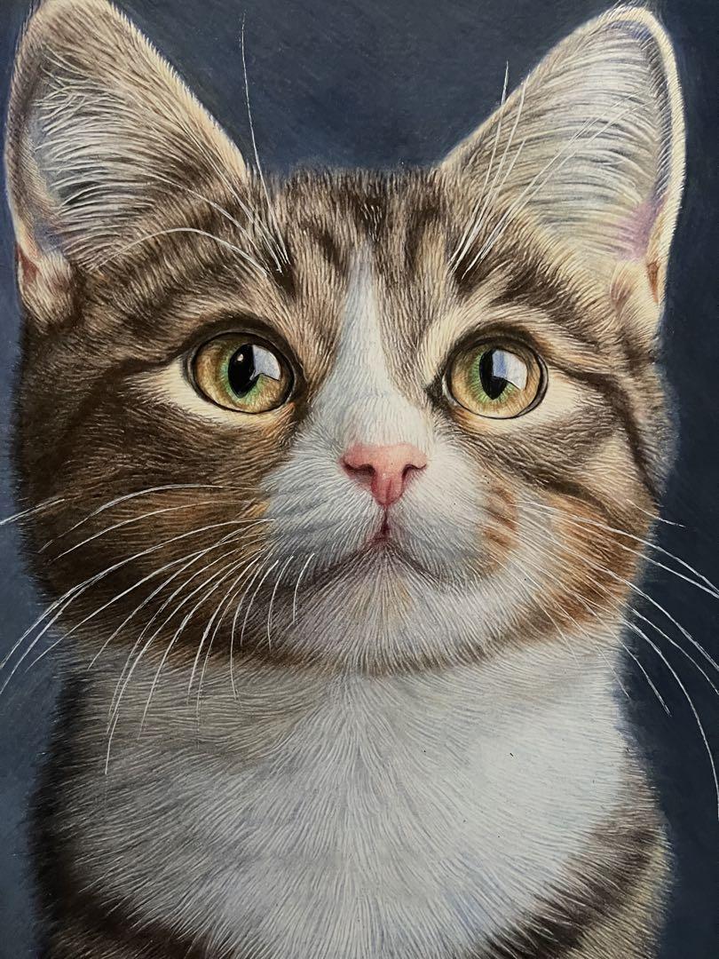 色鉛筆画A4キジシロ38 色鉛筆画A4キジシロ38 絵画