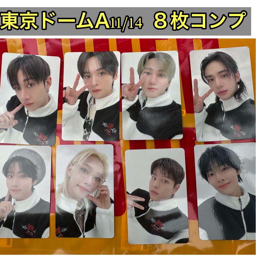 stray kids 東京ドーム 11/14 会場限定 トレカ 8種コンプ