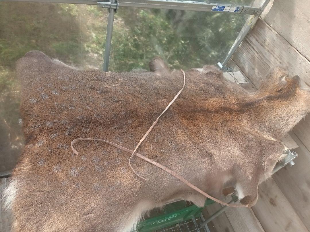 ハンドメイド　鹿の毛皮　天然ラグ