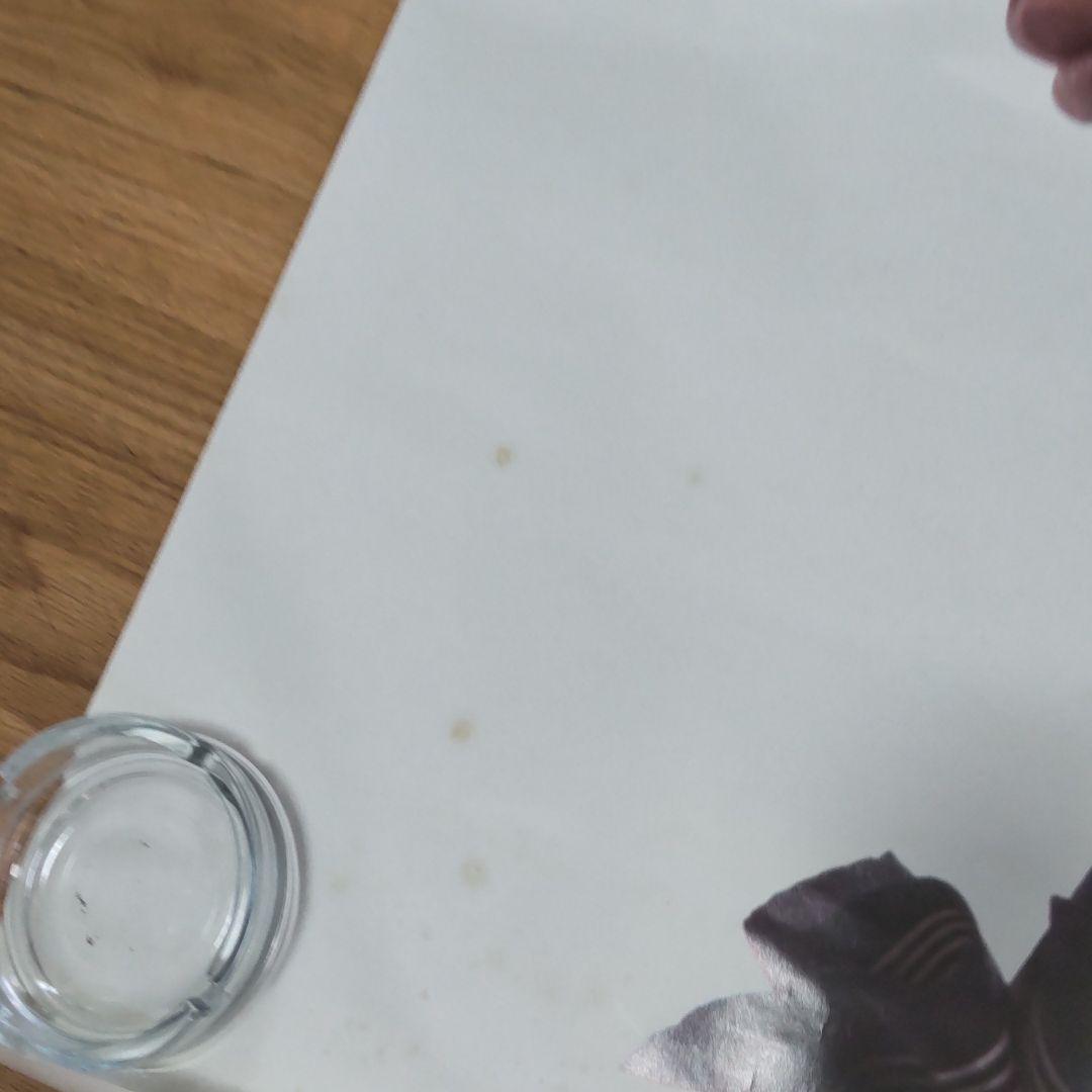 舘ひろしクールス当時特大パネル 舘ひろしクールス当時特大パネル 舘ひろしクールス当時特大