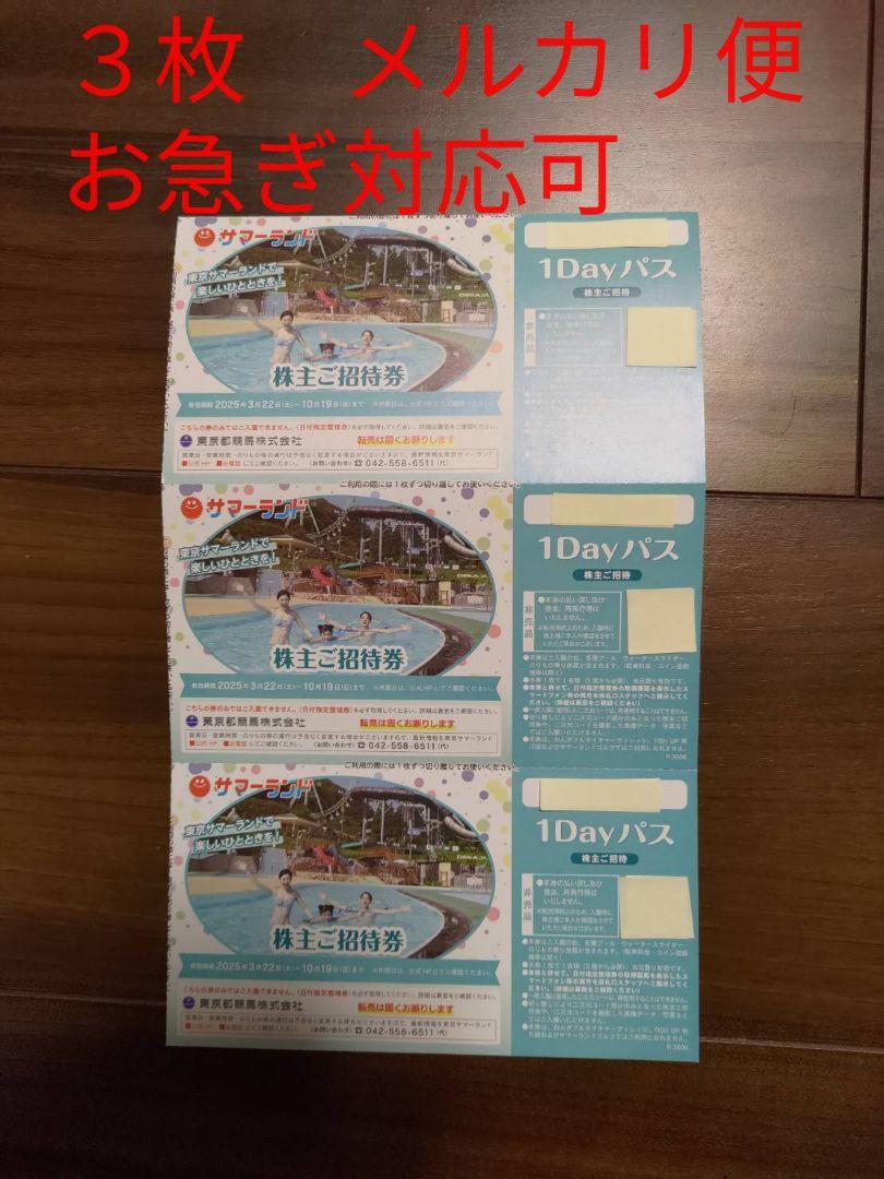 東京都競馬　東京サマーランド　1dayパス ３枚