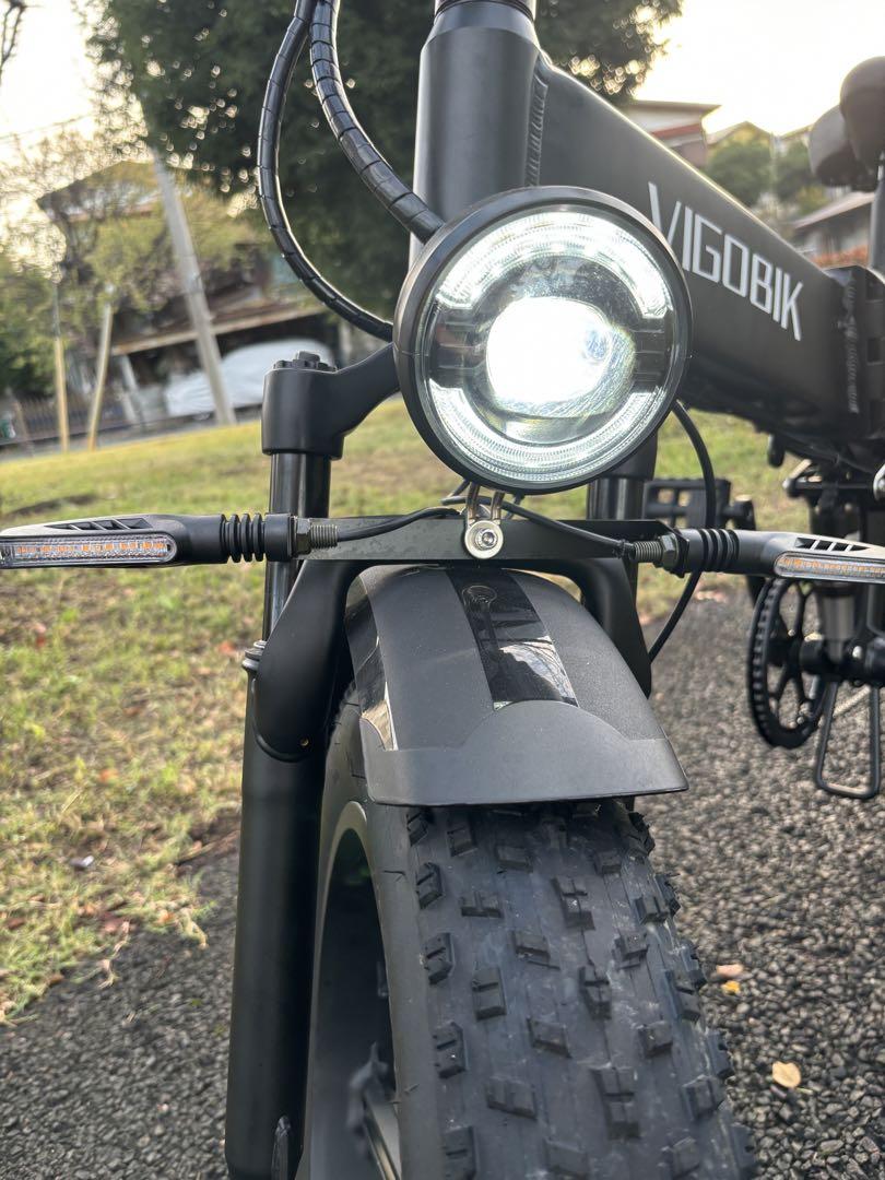 電動アシスト自転車 フル電動 20インチ 折り畳み 極太タイヤ シマノ7段変速