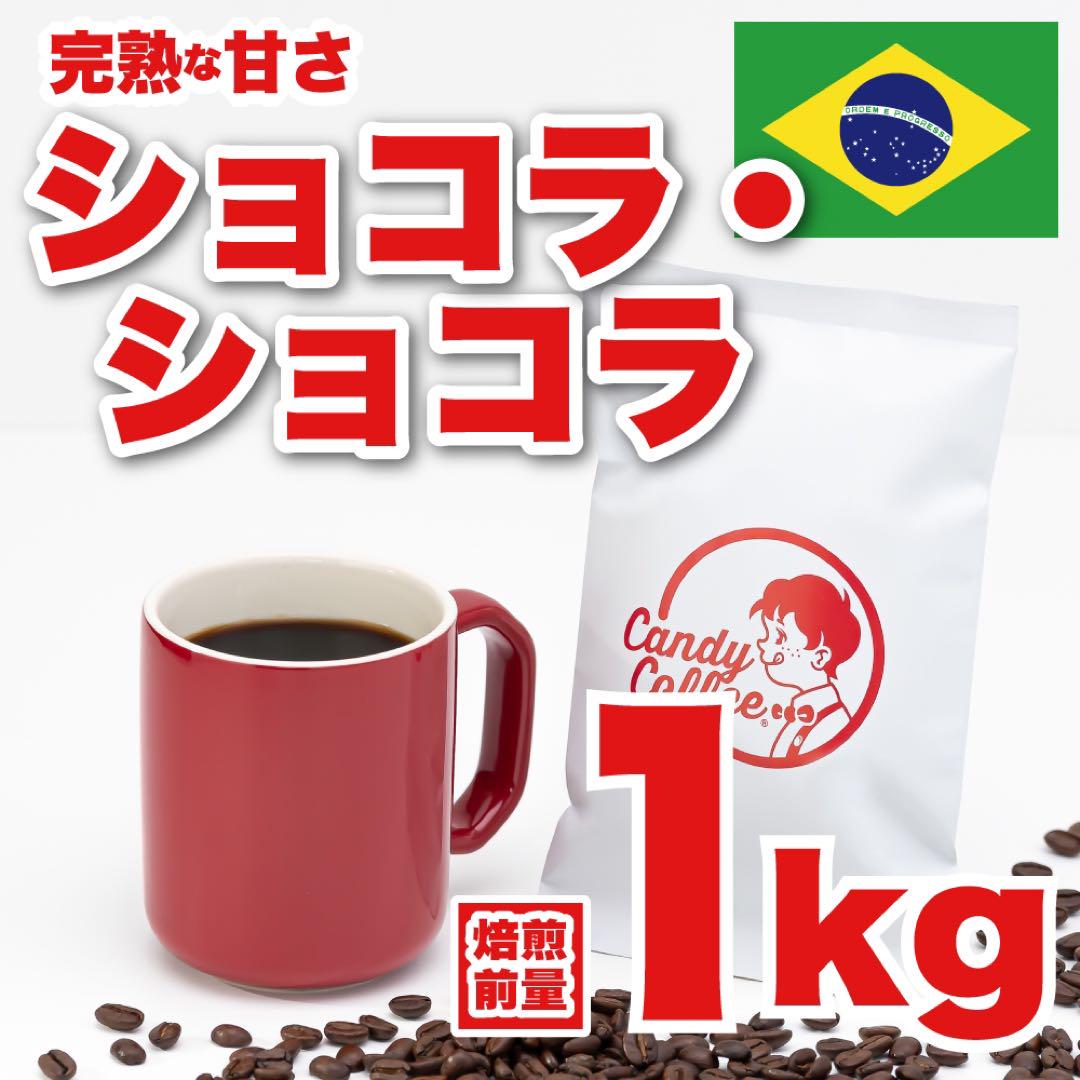 コーヒー豆【ムセッティ パラディソ】500g×3袋オンライン ストア