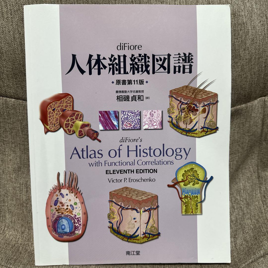 diFiore人体組織図譜