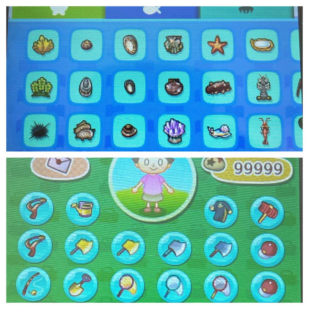やり込みデータ】とびだせどうぶつの森 とび森 3DS 最強データ